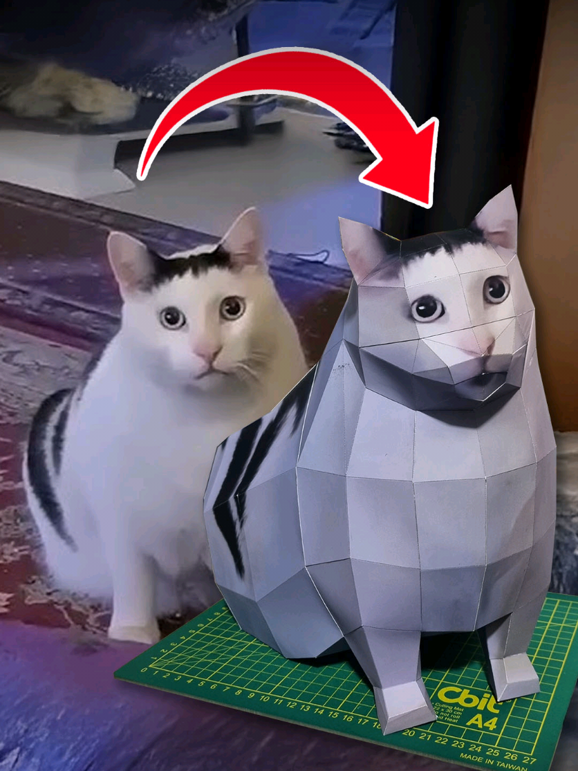 Esta semana armamos al #huhcat espero les guste. #cat #gato #gatomeme #papercraf #papertoy #fyp #xyzbca 