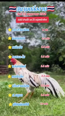 ตลิ่งงาม #สนามตลิ่งงาม #เด็กสวนเรียน #พลังทรัพย์ #มังกรหยกเกาะสมุย🐲🐲🐲 #คมชัดลึก #เหนือชัย #ไก่เดือย #ไก่เดือยใต้ #ไก่ใต้ #ไก่เดือยภาคใต้ #อนุรักษ์ไก่ใต้🐓 #ขวัญใจแดนใต้ 