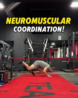 💥 7 Elite Exercises for Neuromuscular Coordination!⤵️ ✅ The ability to coordinate different areas of the body simultaneously is paramount to performance. It's how all athletic tasks are achieved. This comes with a high neurological demand. Which means it requires direct practice. That is exactly what these exercises represent. #functionalfitness #functionalfitness #strengthandconditioning 