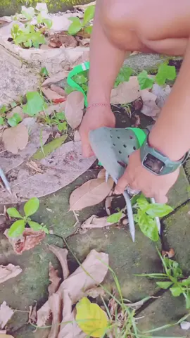 Alat Panjat Pohon #EnergiKuatTiapLangkah #alatpanjatpohon #treeclimbing #treeclimbingtool #CapCut #tiktokviral #tiktokindia #fyp #fypage #fyppppppppppppppppppppppp @Chame @Chame @Mira 