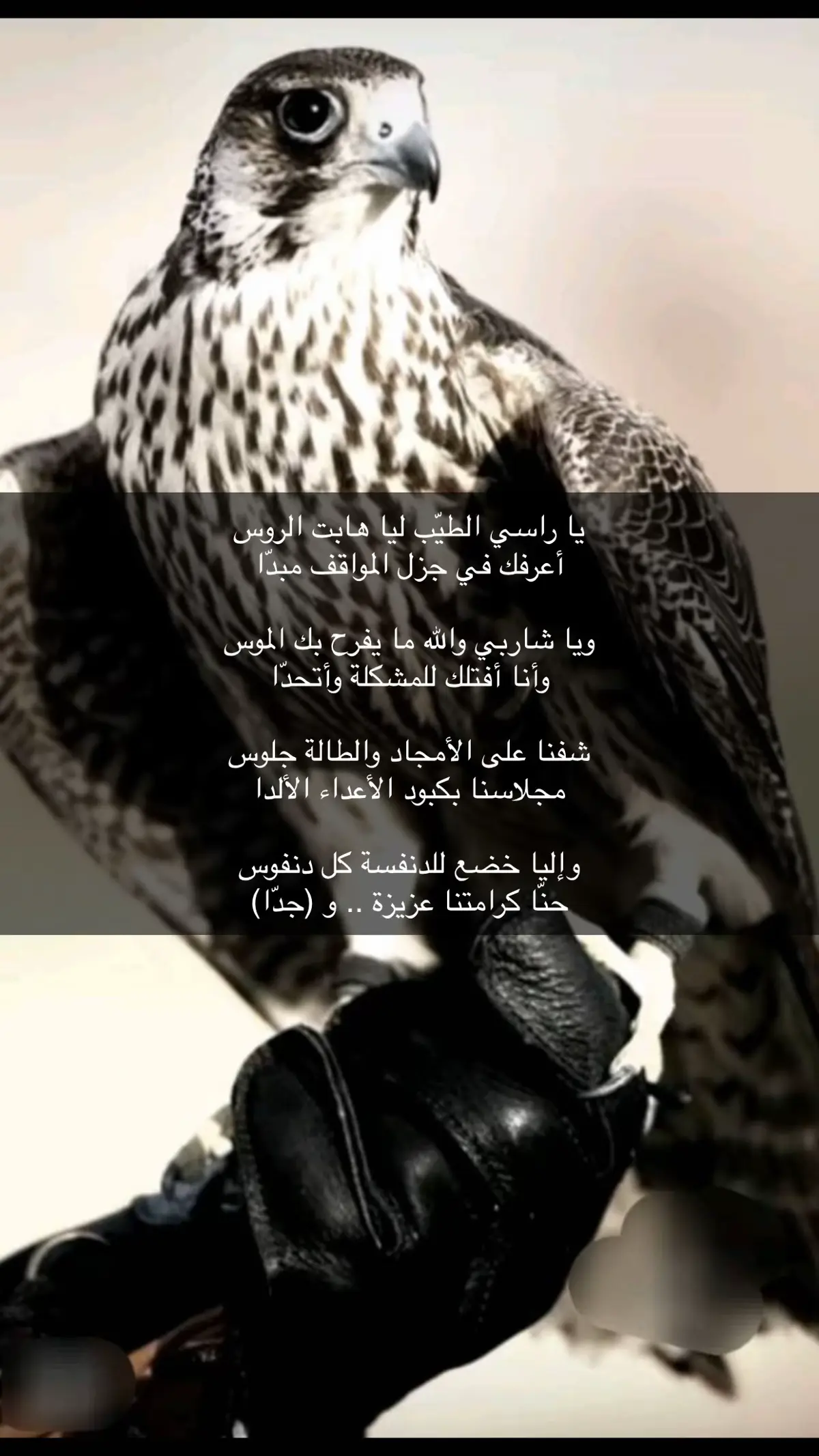 #اكسبلورexplore #قصايد_شعر #حكم #عزة_النفس #صباح_الخير 