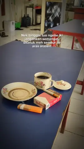 #ternosontek 