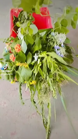 ပိုင်ရှင်လေးကဘယ်သူဖြစ်မလဲ🤣#fyp #flowers #trending #jointrend #ရောက်ချင်တဲ့နေရာရောက်👌 #ရောက်စမ်းfypပေါ်😒myanmartiktok 
