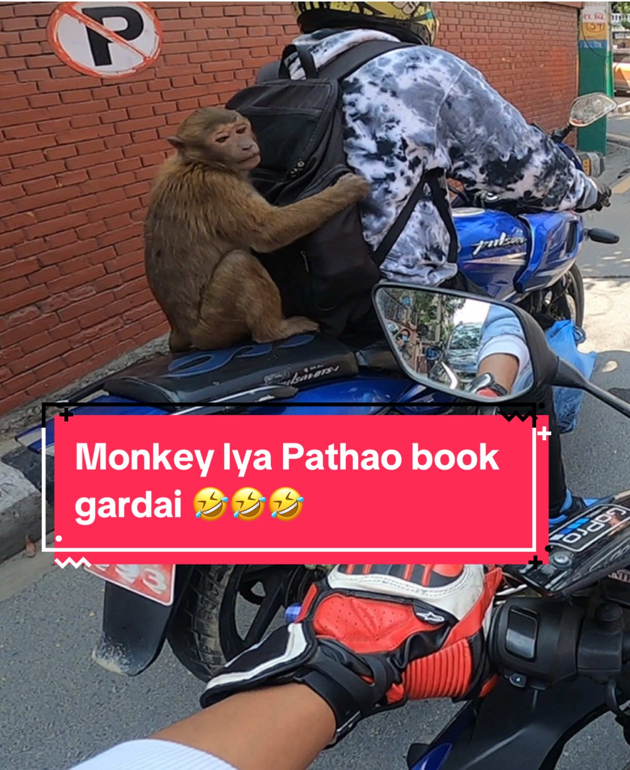 Monkey lya pathao Book Gardai 🤣🤣🤣#rider #foryou #foryoupage #reels #nepal #today #follow #ohnoo #support #indrive #pathao 