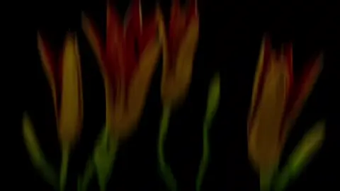 я так люблю видео и #эдиты с такими цветами. я просто не могу, аааа надеюсь есть люди которым тоже нравится видео с цветами, как они распускаются. как по мне это очень расслабляет, когда смотришь на них.  #цветы #flowers #aesthetic #эдит #edit #flowersblooming #foryou #fyp #blur #loool  #straywav #song #relax #sad #iloveyou #goodmorning #goodafternoon #goodnight #goodevening #Love #up #fup ###################### #хештег  #лилия #ирис #хрезантематема #вайб #vibe #vibes #плюсвайб 