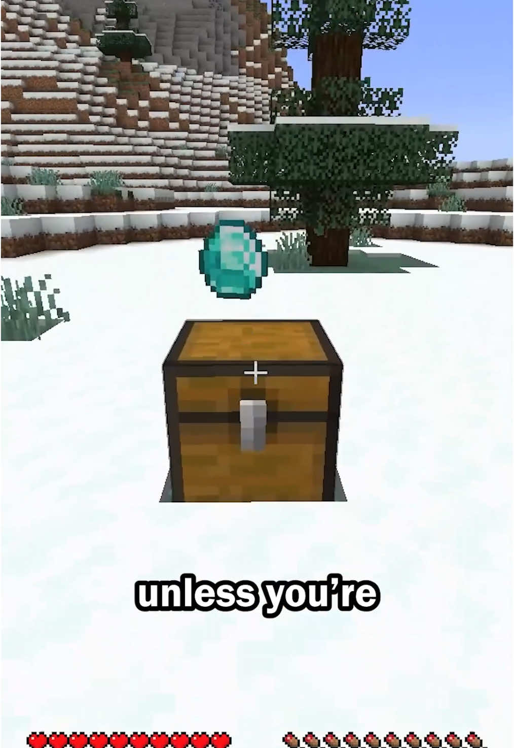 The bonus chest is better in Minecraft #Minecraft #chest 