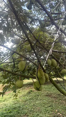 Thuyền bè có đủ