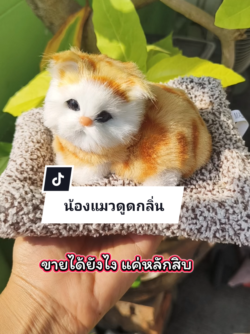 #ตุ๊กตาดับกลิ่นในรถ #ตุ๊กตาดับกลิ่น #ตุ๊กตาดับกลิ่นในรถยนต์ #ตุ๊กตาแมวดับกลิ่นในรถ #ตุ๊กตาดูดกลิ่น #ฟีดดดシ 