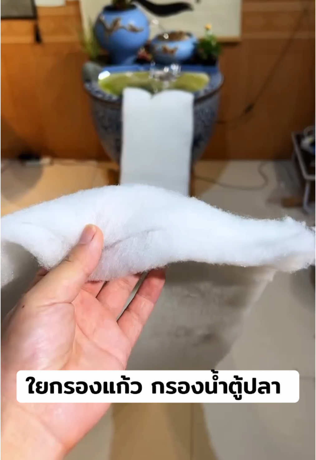 ใยกรองแก้วตู้ปลา #อุปกรณ์ตู้ปลา #แต่งตู้ปลา #ปลา #ตู้ปลา #ไม้น้ำตู้ปลา #หัวทรายอ๊อกซิเจน 