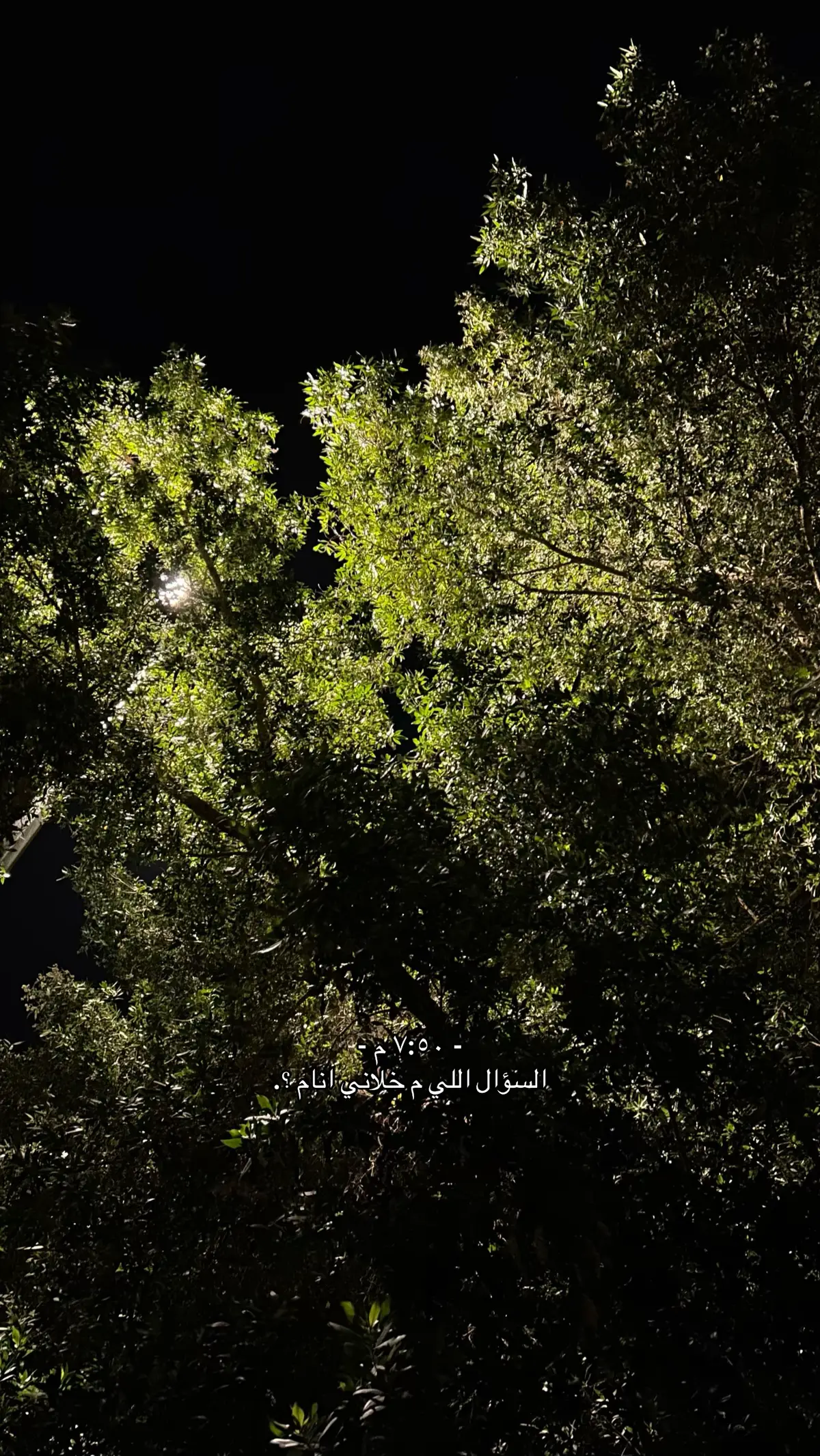 😔. #المدينه_المنوره #jeddah #المطل #fyp 