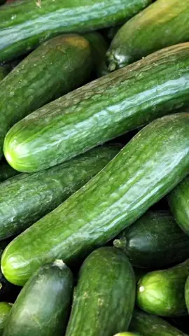 Cucumber vibes only… said the lizard. 🦎🥒 #magichourai #madewithmagichour #magichourillusions #wild #wildanimals #animals #lizard #cucumber #vegetables #transformation #ai #aivideo #aigenerated #trending #viraltiktok #fypppp 