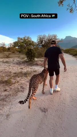 Keep animals closer than your enemies 🔥 #southafrica #fyp 