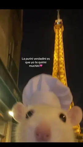 #fipシviral  🧸✨️