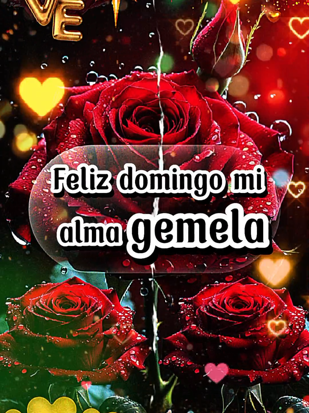 Feliz Domingo mi alma gemela 🎉💕 #felizdomingo #buenosdias #cosasdeparejas #amoreterno1120 #parati #romanticas #usa🇺🇸 #fyp #cosasdenovios #frasesdeamor #deamor #videoviraltiktok 