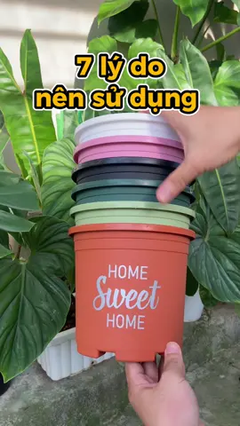 7+ lý do bạn nên trồng cây với chậu Vietpot #vietpot #chaunhua #chautrongcay #monstera #hoahong #meolamvuon #plants #garden