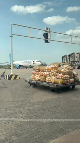 How many types of aircraft have you seen?  -Julius Nyerere international airport #tiktoktanzania🇹🇿 #tiktokkenya #juliusnyerereinternationalairport #fyp #