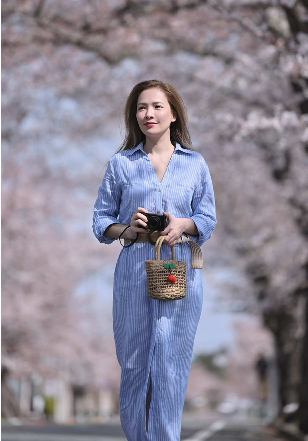 Hè đã sang. Vậy mà tâm hồn cô vẫn lang thang, như chưa từng rời khỏi con đường Yonomori. Nơi ấy, dưới tán anh đào cổ thụ, nắng rơi qua tầng cánh hoa hồng nhạt, thắp bừng những vệt ấm áp trên tóc, trên da – giữa một ngày xuân se lạnh. Không một bóng người. Chỉ có gió, có sakura – và một cảm giác bình yên đến lạ. Đâu đó, những âm thanh nhẹ như cánh hoa lung lay, hay tiếng rễ cây già chuyển mình dưới đất. Cô không chắc. Chỉ biết trái tim mình rung rinh. Như vừa chạm tới giấc mơ có thật và nhặt lên một mảnh dịu dàng, cất gọn vào túi ký ức. #sakura #japan #fukushima #yonomori #hoaanhdao #danle #lewithlove 