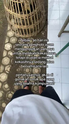 hayoo tebak untuk apa uangnya🤣🤣#ayam #bangkok #mangon #pama #pakhoy #4u #ternak #fyppppppppppppppppppppppp #tekateki #kancilcage 