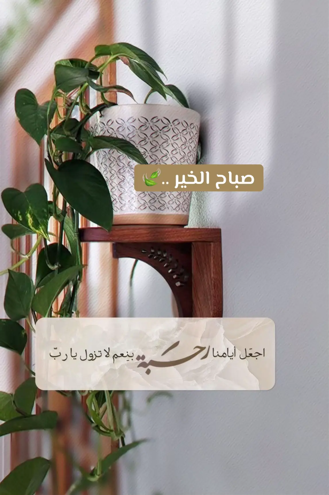 صباح الخير ..🍃