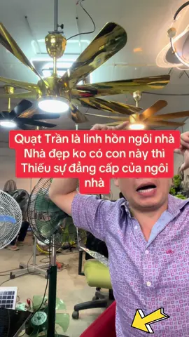 Nhà đẹp mà thiếu con quạt đẳng cấp như này Như thiếu đi sự đẳng cấp  Mạ vàng 24k #vuaquat 