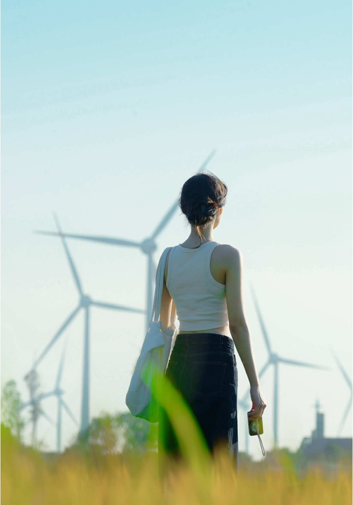 Em mơ về những cánh đồng 🌾🌾🌾 #canhdong #canhdongdiengio #chillwithtiktok #LearnOnTikTok 