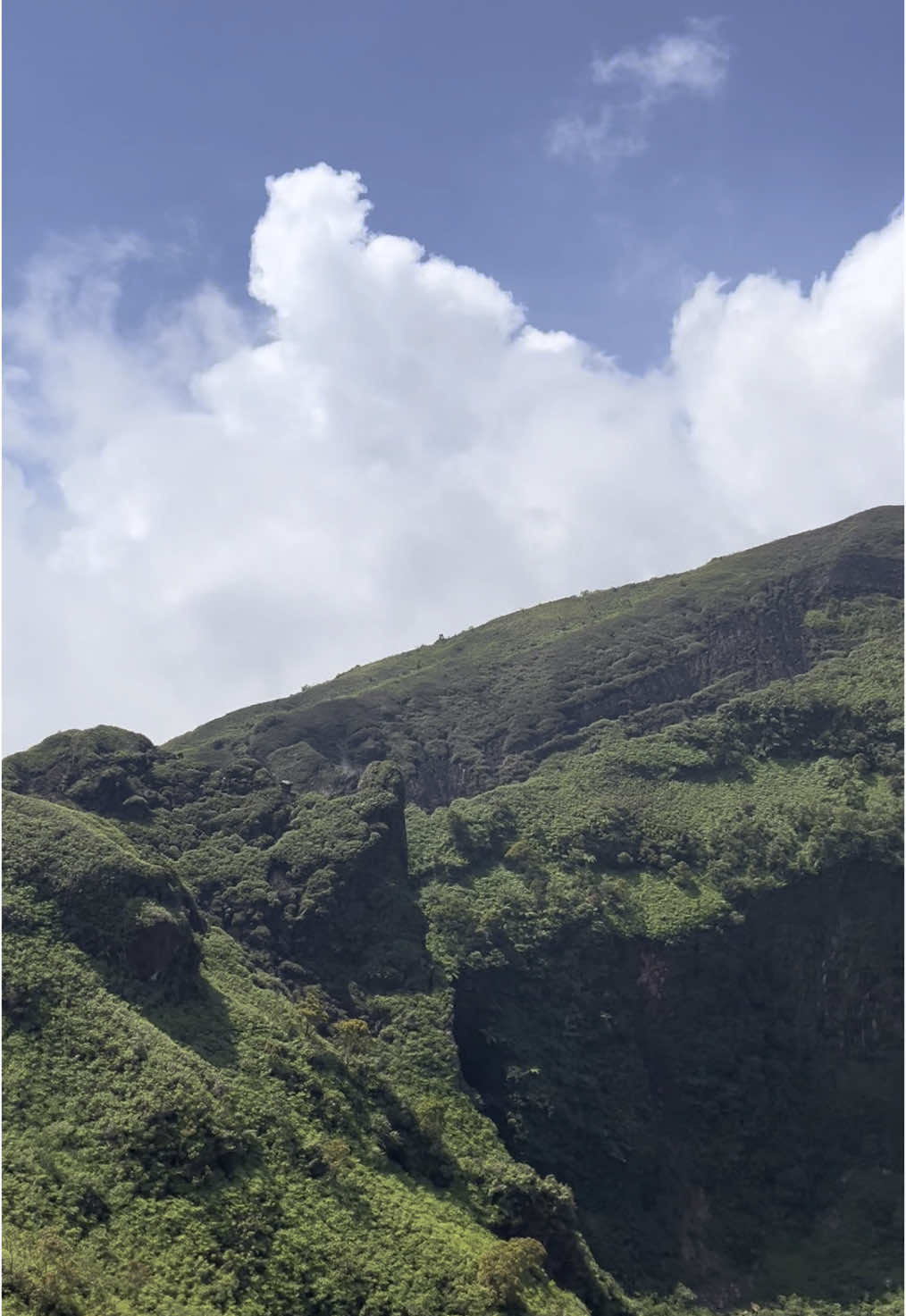 Lemongan sesuai ekspektasi #lemongan #lemongan1676mdpl #lumajang