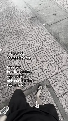 gió to quá tóc anh rối rồi. lạnh quá hoa ko nở đâu, người đi rồi anh cũng đi thôi kẻo trời tối.#xhtiktok #tinhyeu #tamtrangbuon 