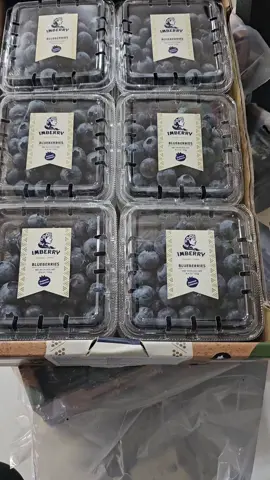 blueberry imberry manis kemasan 125gr x 12 pack harganya ecer Rp 35 ribu per pack karton Rp 350 ribu WA order 082188922501 081366066126 #allfreshfruit #jualbuahpremium #jualbuahmurah #jualbuahlampung #tokobuahlampung #lecimaduhijau #blueberry #jualbuahblueberry 