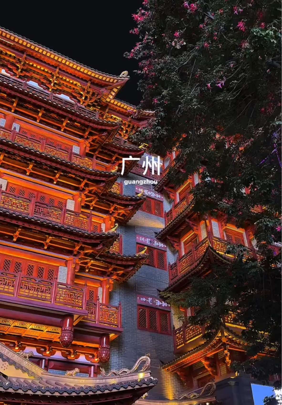 always going to be my favourite chinese city 😛🇨🇳 #guangzhou #chinatravel #chinatiktok #whattodo #广州