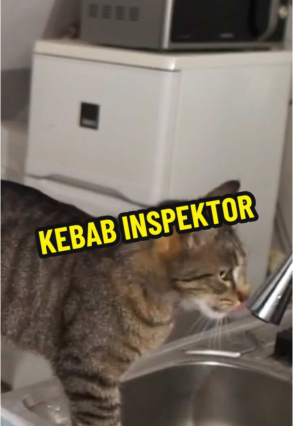 #mranocka #fyp #4you #viral 