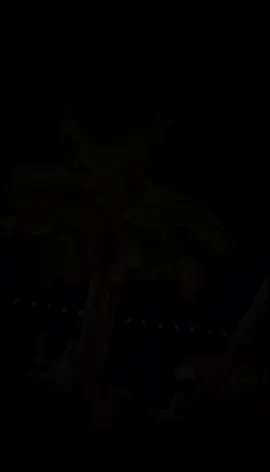 #CapCut 