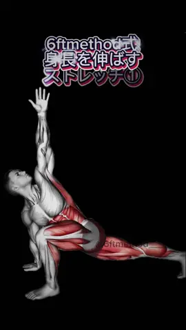 6ftmethod式身長を伸ばすストレッチ①！ 6ftmethod内で紹介されている、ちょっとしたストレッチを公開！ 是非試してみてください、 更なる情報は6ftmethodに書いてあります！ 6FTMethodでは、6FTMethodでは皆様が身長の最高値に到達することをモットーに身長を伸ばす方法について解説しています。 ソースは海外の本や論文、サイト、専門家の意見などを取り入れていて、最先端の知識となっております。  背はいつからでも改善できるので諦める必要はありません。 #高身長 #身長伸ばし方 #身長伸ばす #fypシ゚viral #モチベーション #モチベーション動画 #努力 #自己啓発 #マインドセット #成功 #努力 #筋トレ #自己啓発 #名言 #格言 #地理系 #ポジティブになれる言葉 #fyp  
