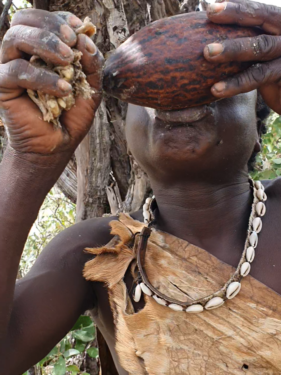 BUSHMAN SURVIVAL #indigenous #bushlife #hadzabetribe #africavillage #wildlife #survival #Cultures #tribes #hunters #bushmen 