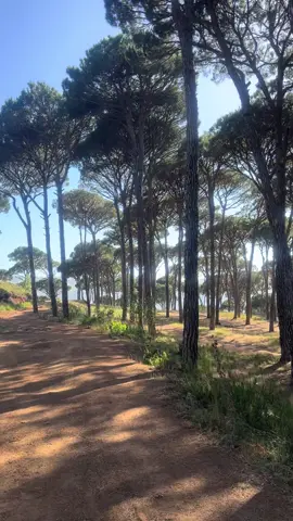 #❤️ #natural #views #happy #life #❤️ 