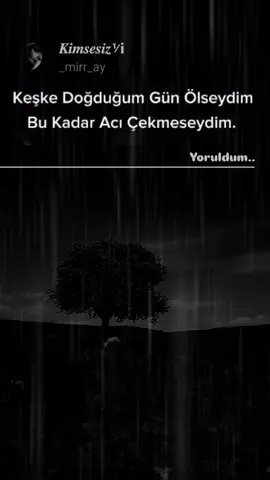 #teprikler👏 #kazandin 