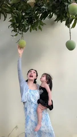 Mê#bossncollagen #ncollagen #dalali 