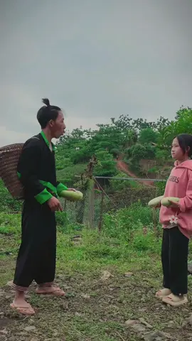 Ua cas tsi qhia thaum ntxov p39#hmong #hmoob #funny #xuhuong #koosloos #koosloosfunny 