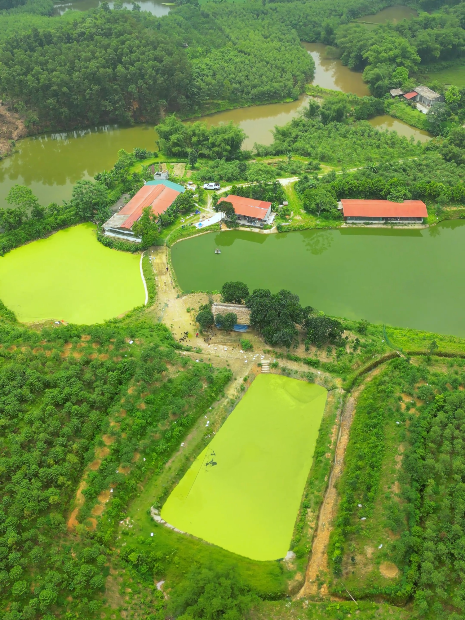 Cùng anh khánh đồng thăm quan trang trại gà đen của chú phong đất đất tổ#khanhdong #daivlog2002 #chuphongdatto #gaden