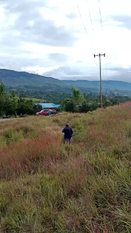 di sore hari pemandangan yang bagus👍