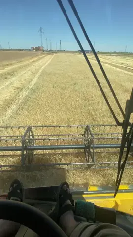 Sezon 2025 start 🌾 @Sefa Algül @𝑬𝒎𝒊𝒓𝒉𝒂𝒏 𝑺𝑼𝑳𝑼𝑲𝑨𝑵 #imparator #BARON #şanlıurfa #akçakale #sezon2025 #tc580 #tc5902023 #tc5070 #keşfetteyizzz 