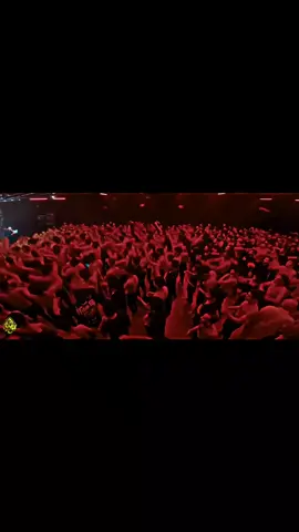 Shia celebration  #shia #phonk #Ali #music 