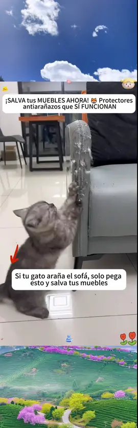 ¡ALERTA para dueños de gatos! 🚨 Adiós a los muebles destruidos—este rascador autoadhesivo se QUEDA FIJO (¡incluso con locuras nocturnas!). Pega, presiona y deja que tu gato se vuelva loco. 😼💥 #AmanteDeGatos #TrucosParaGatos #VidaConGatos #JuguetesParaGatos #ProtegeTusMuebles #HogarA pruebaDeGatos #RascadorAdhesivo #GatosEnTikTok #TiendaTikTok #ParaTi