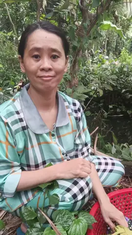 nè ấy ơi ấy mua dùm chị hân nhe