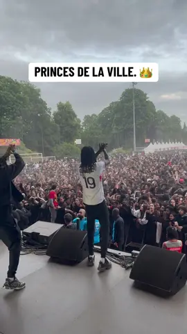 FEUUU ! 🔥 #fetedeslilas #vitry 