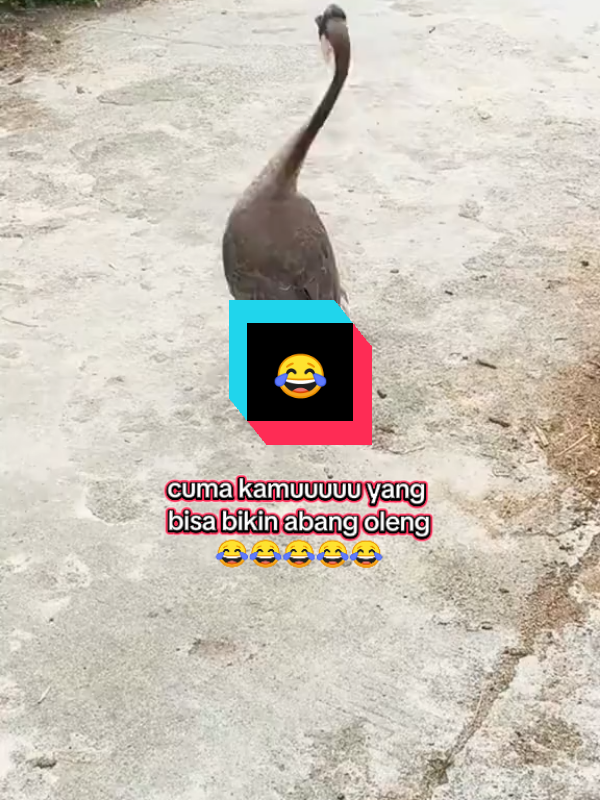 lupa jln pulang abang#😂😂😂 #hiburan #fypシ゚viral🖤tiktok #fyppppppppppppppppppppppp 