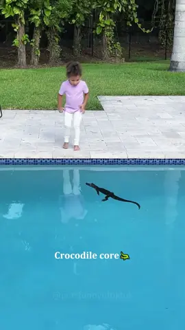 Crocodile Core 🐊 #fyp #pet #funny #dog #cute #crocodile 