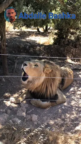 #tik_tok            #historia           #somalitiktok            #afsomali       #hooyo_mcn🌏🥰     #dhulkahooyo🌴🇸🇴❤️