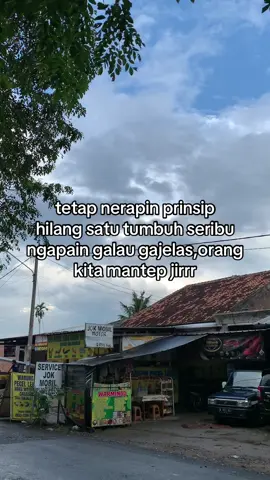 #lampung04insomnia #teratai04insomnia 