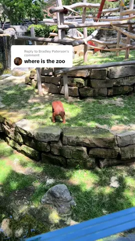 Replying to @Bradley Paterson 