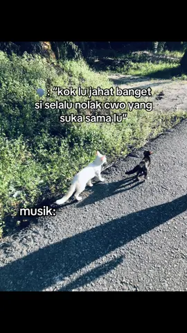 #xybca #masukberanda #fyp 